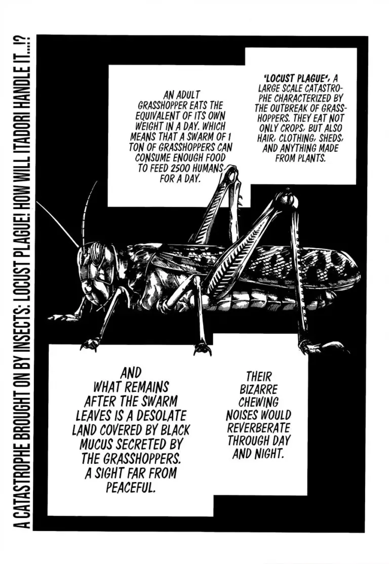Jujutsu Kaisen Chapter 87